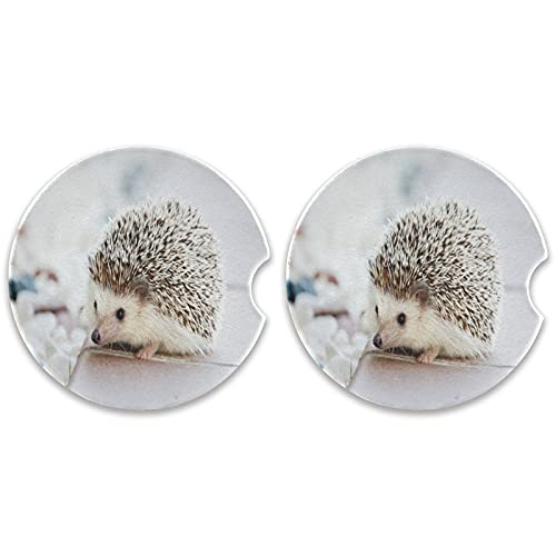 Hedgehog