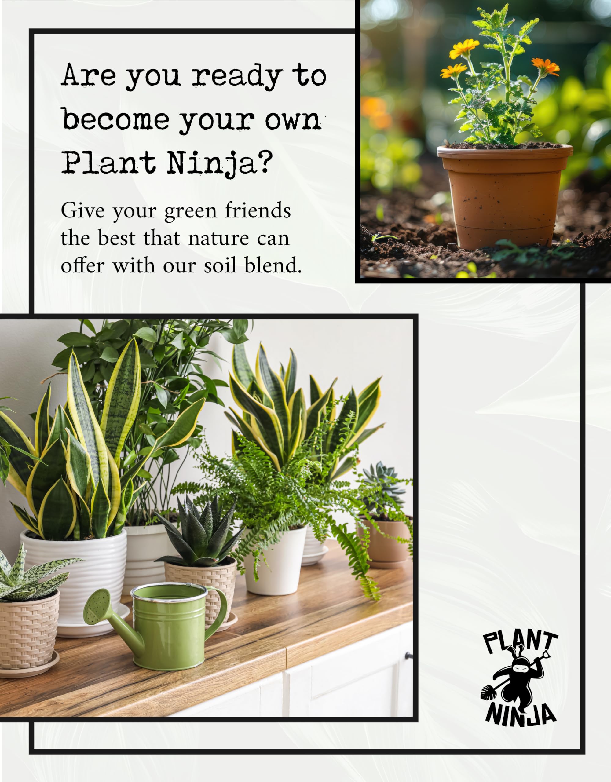 Premium Organic Potting Soil Mix for 6