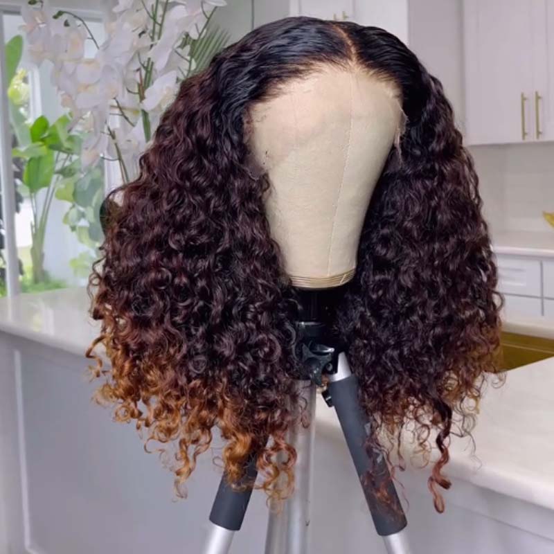 Eullair Fashionable Glueless Ombre Brown to Honey Blonde Curly Lace Front Wig with Dark Roots - 100% Human Hair for Women (EW008) | Perfect for Daily Wear, Parties & Special Occasions