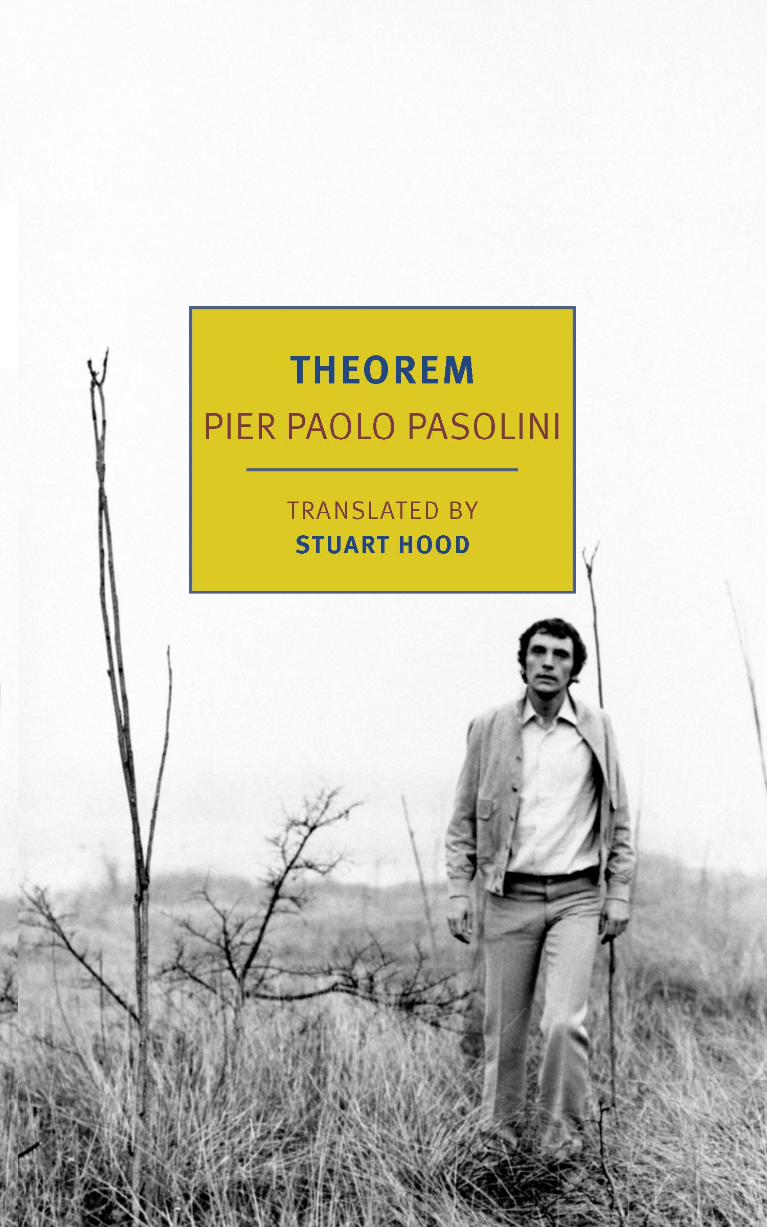 Theorem - Premium High-Quality [Product Category] for [Target Audience] | Durable & Stylish Design | Perfect for [Use Case 1], [Use Case 2], and [Use Case 3] | Fast US Shipping & Easy Returns
