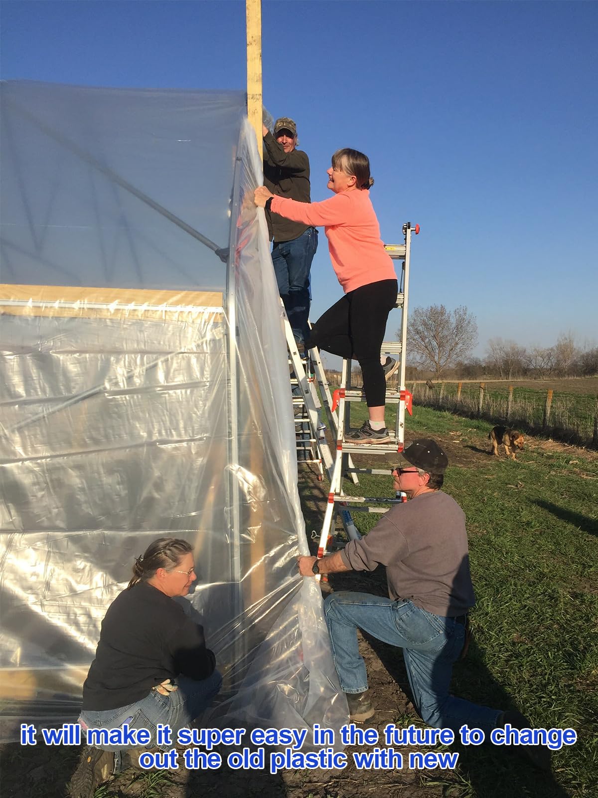 6 Mil Greenhouse Plastic Film 25x50FT - Heavy Duty UV Resistant Cover with 20PCS 3.28FT Spring Wire & Lock Channel for DIY Greenhouse, Garden, Plant Protection - Perfect for Backyard, Farm, and Commercial Growing