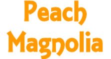 Peach Magnolia