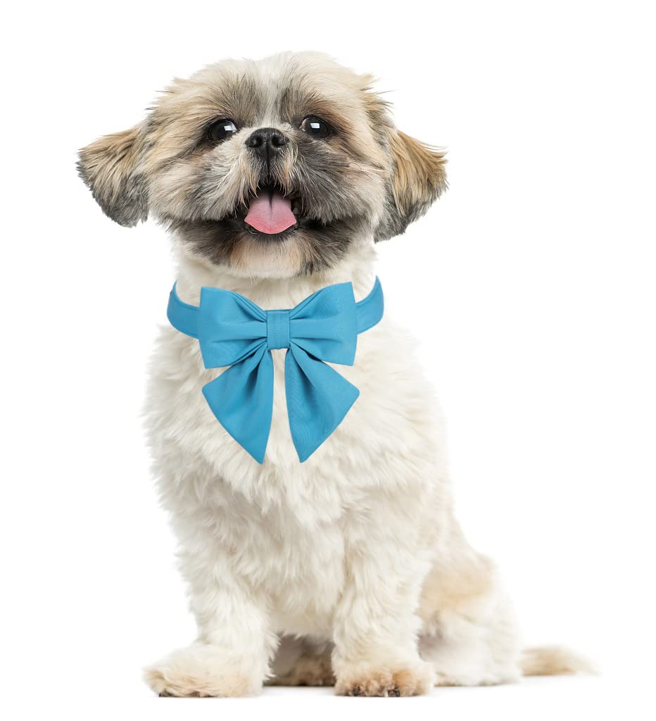 Premium Adjustable Breakaway Dog Collar with Bow Tie - Blue Sailor Style Pet Collar for Small, Medium, Large & XL Dogs - Golden Metal Buckle - Perfect for Birthday Gifts, Costume Parties & Daily Walks