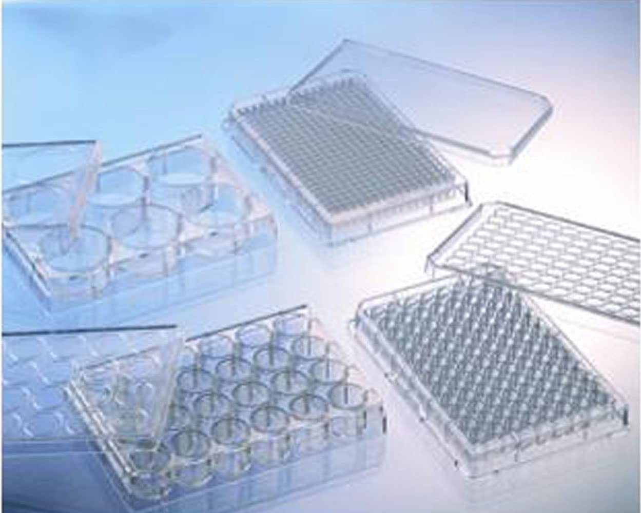 **Type I Collagen Coated 6-Well Polystyrene Cell Culture Plate - Flat Bottom, Chimney Style, Clear (Pack of 5) - Ideal for Cell Adhesion, Growth & Research Applications**