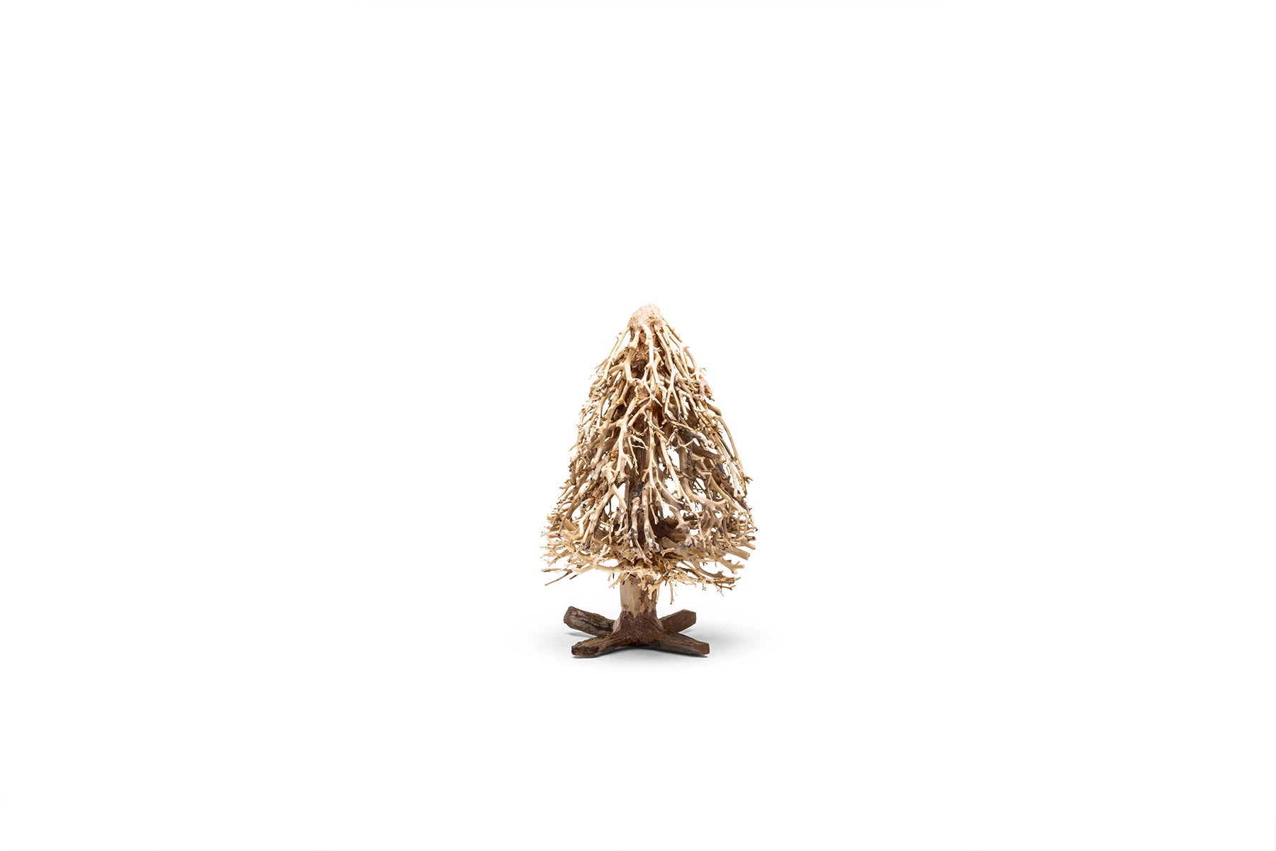 UNS Bonsai 009 - Premium Miniature Bonsai Tree for Home & Office Decor | Perfect Gift for Plant Lovers & Zen Garden Enthusiasts
