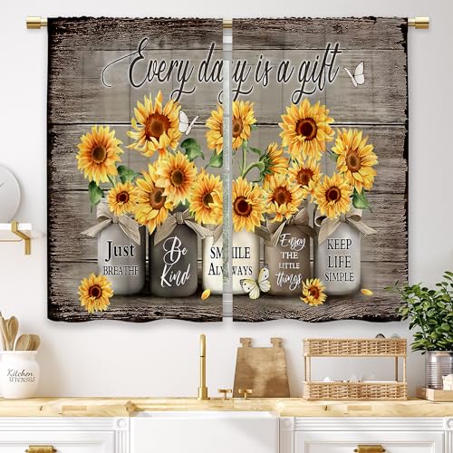 01_brown_sunflower