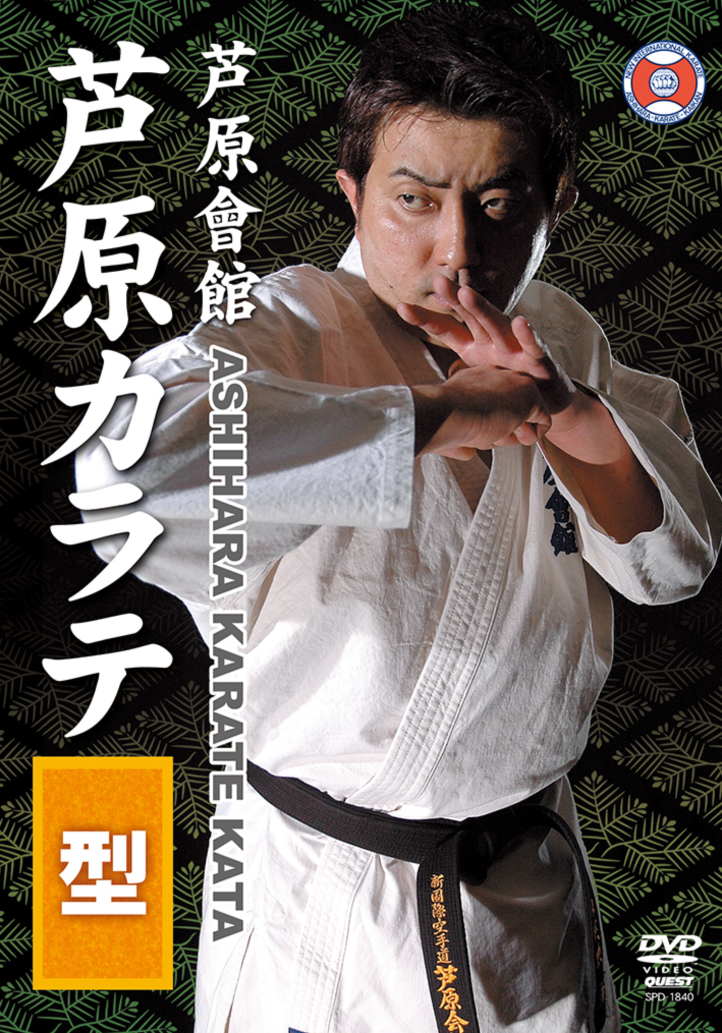 Ashihara Karate Kata DVD by Hidenori Ashihara - Authentic Japanese Martial Arts Training for Self-Defense & Fitness | Perfect for Home Practice & Dojo Training
