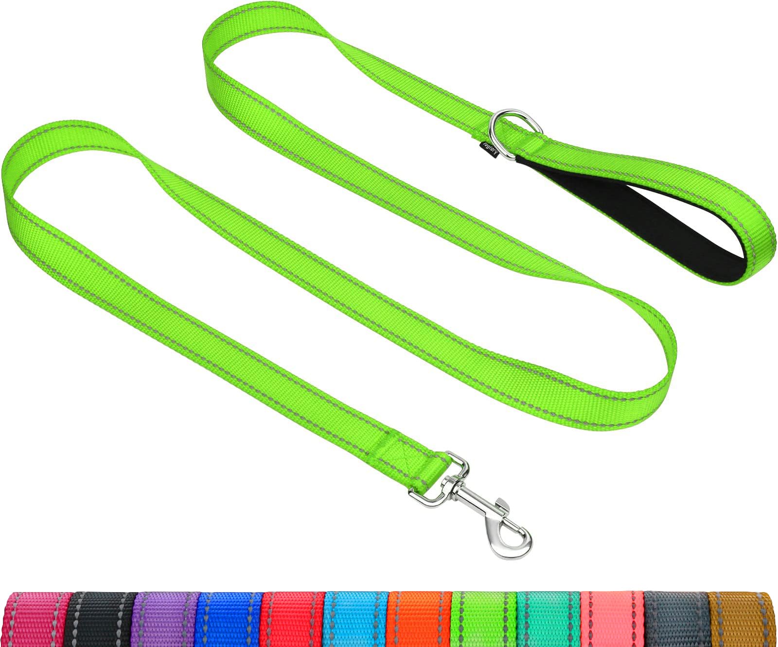 Taglory Reflective Dog Leash for Medium & Large Dogs 20-150 lbs - 5ft Soft Neoprene Padded Handle, 1 Inch Wide Durable Pet Lead - Perfect for Night Walks, Jogging & Outdoor Adventures (Green)