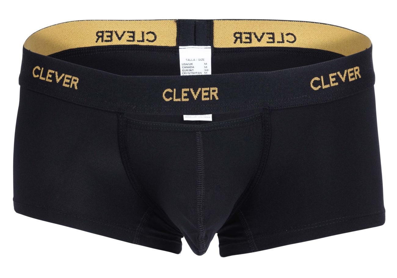 Luxury Clever Trunk 1677 - Premium Travel Storage & Stylish Home Decor for Suitcases, Blankets & Seasonal Items
