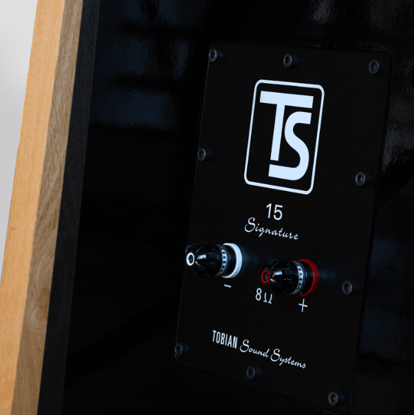 Tobian Sound System 15 Signature Horn Speaker - High-Fidelity Audio for Home Theater, Studio & Outdoor Events | Premium Sound Quality for Music Lovers & Audiophiles