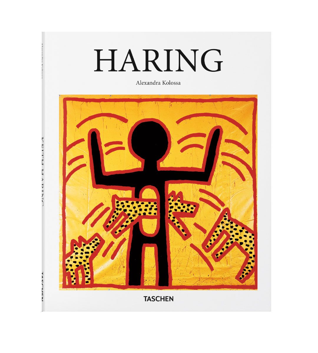 Premium Quality Haring - Fresh & Delicious Dutch Herring for Sushi, Salads & Snacks | Perfect for Home Cooking, Parties & Healthy Eating