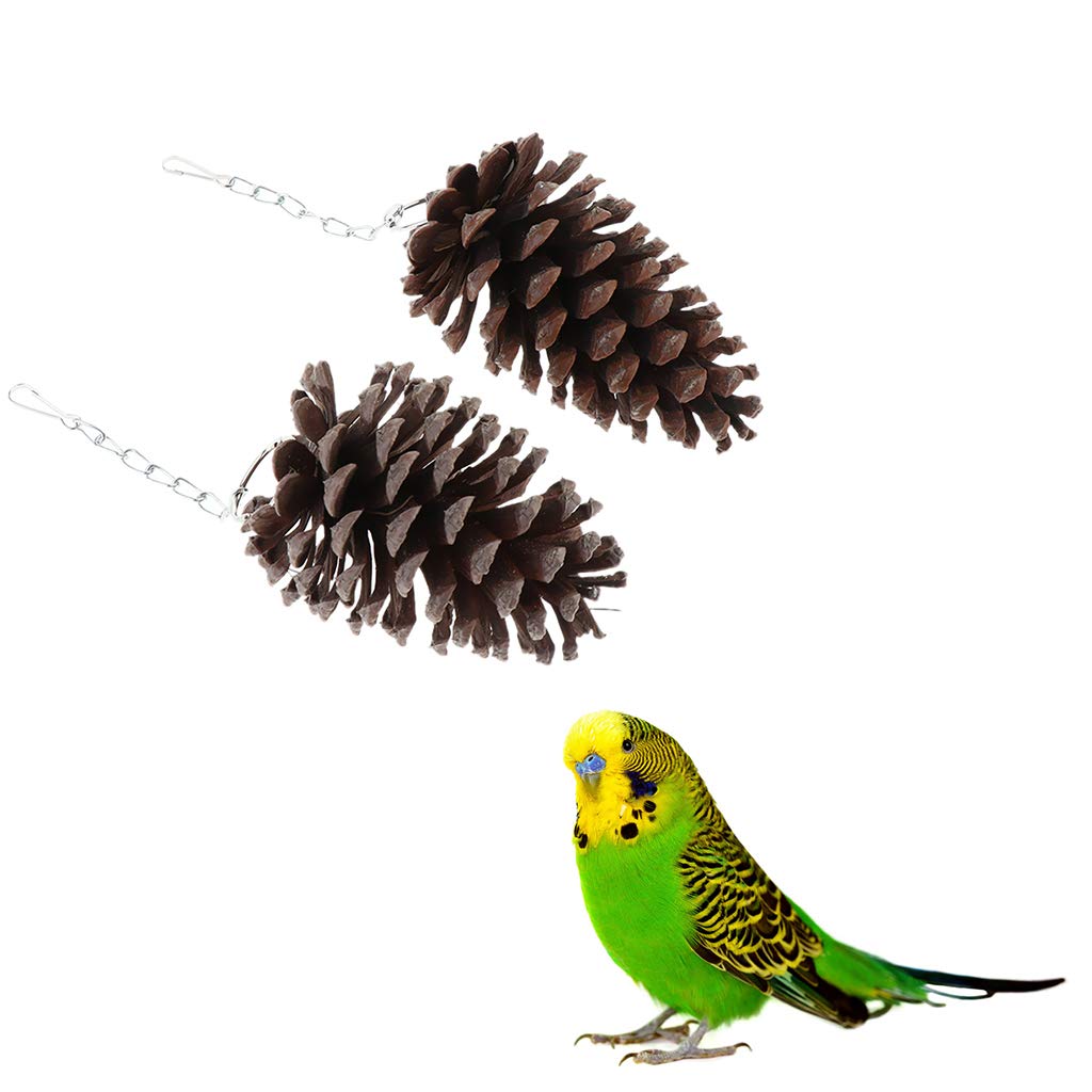 2Pcs Natural Wooden Chewing Bird Toys & Perches for Parrots - Safe & Durable for Cage Play, Training & Beak Trimming