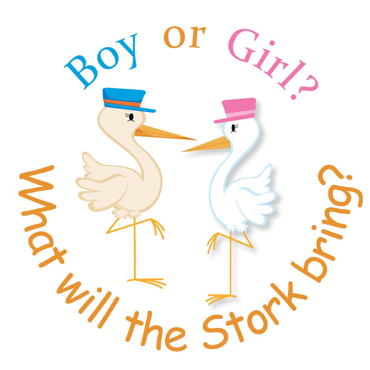 Pink & Blue Storks Gender Reveal Gift Tags & Stickers - Perfect for Baby Showers, Gender Reveal Parties & Nursery Decor