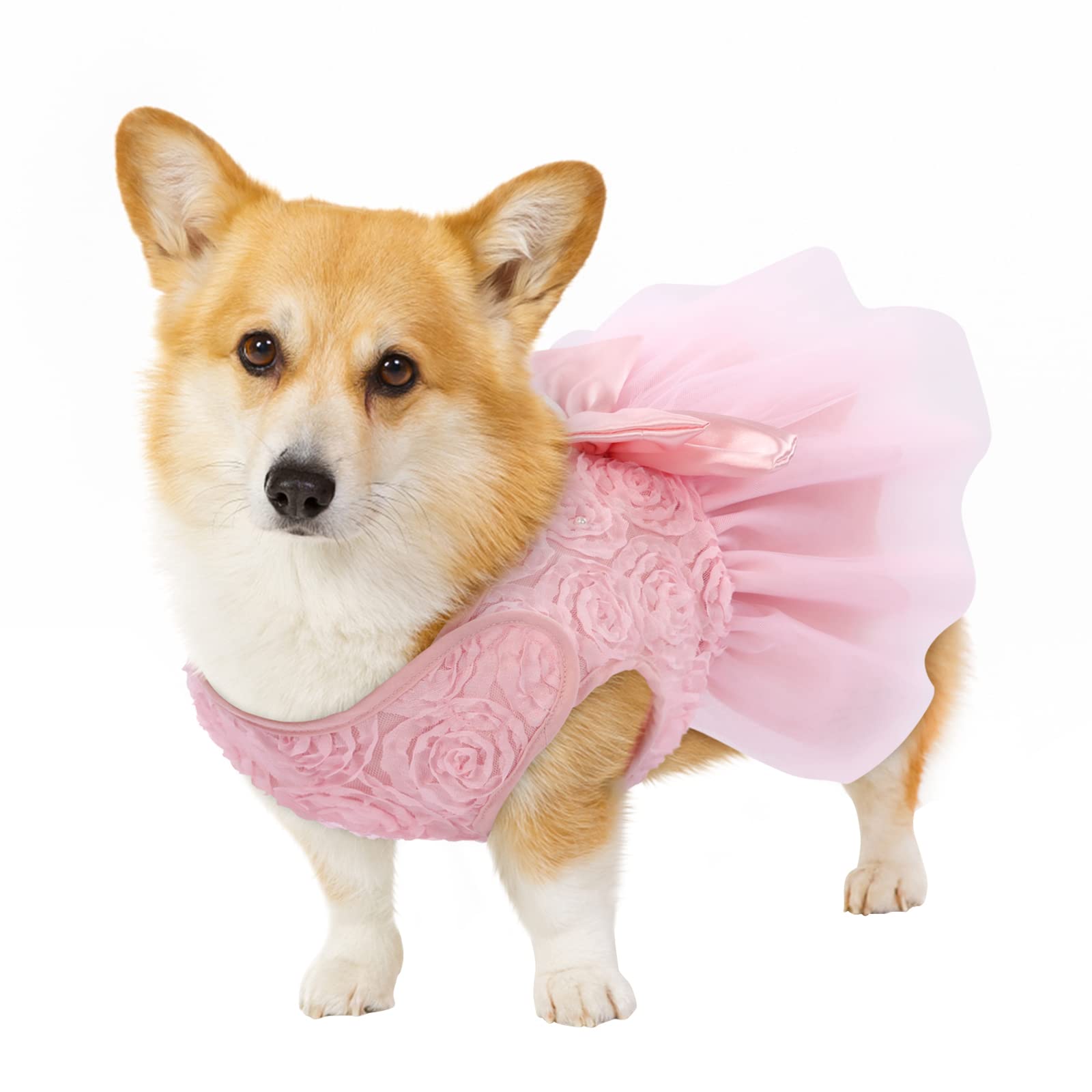 ASENKU Dog Dress - Pet Wedding Dress with Lace for Puppy Birthday Party, Formal Princess Outfit for Small & Medium Dogs & Cats (XX-Small, Pink) | Perfect for Weddings, Birthday Celebrations & Special Occasions