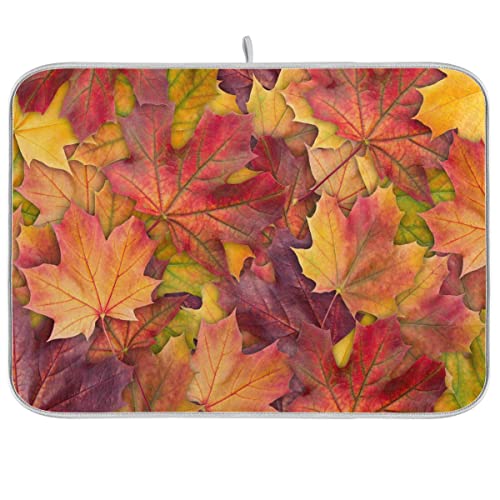 colorful maple