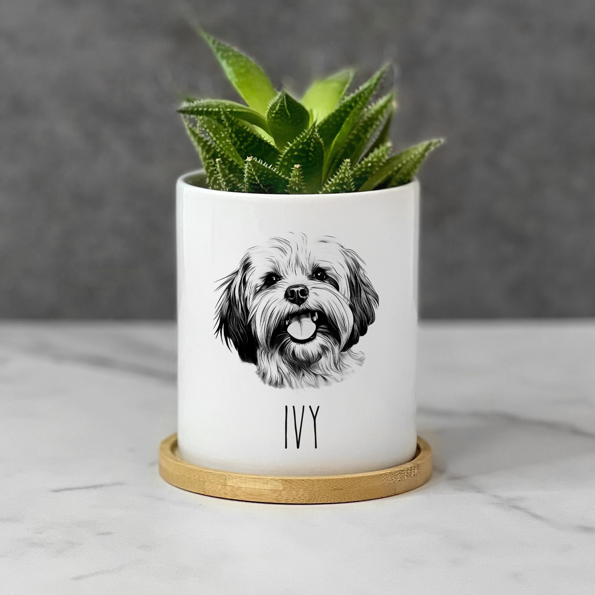 Lhasa Apso Dog Succulent Planter Pot - Personalized Pet Memorial Gift for Dog Lovers - Custom Name Engraved Flower Pot for Dog Mom & Dad - Perfect for Home Garden Decor & Indoor Plant Display