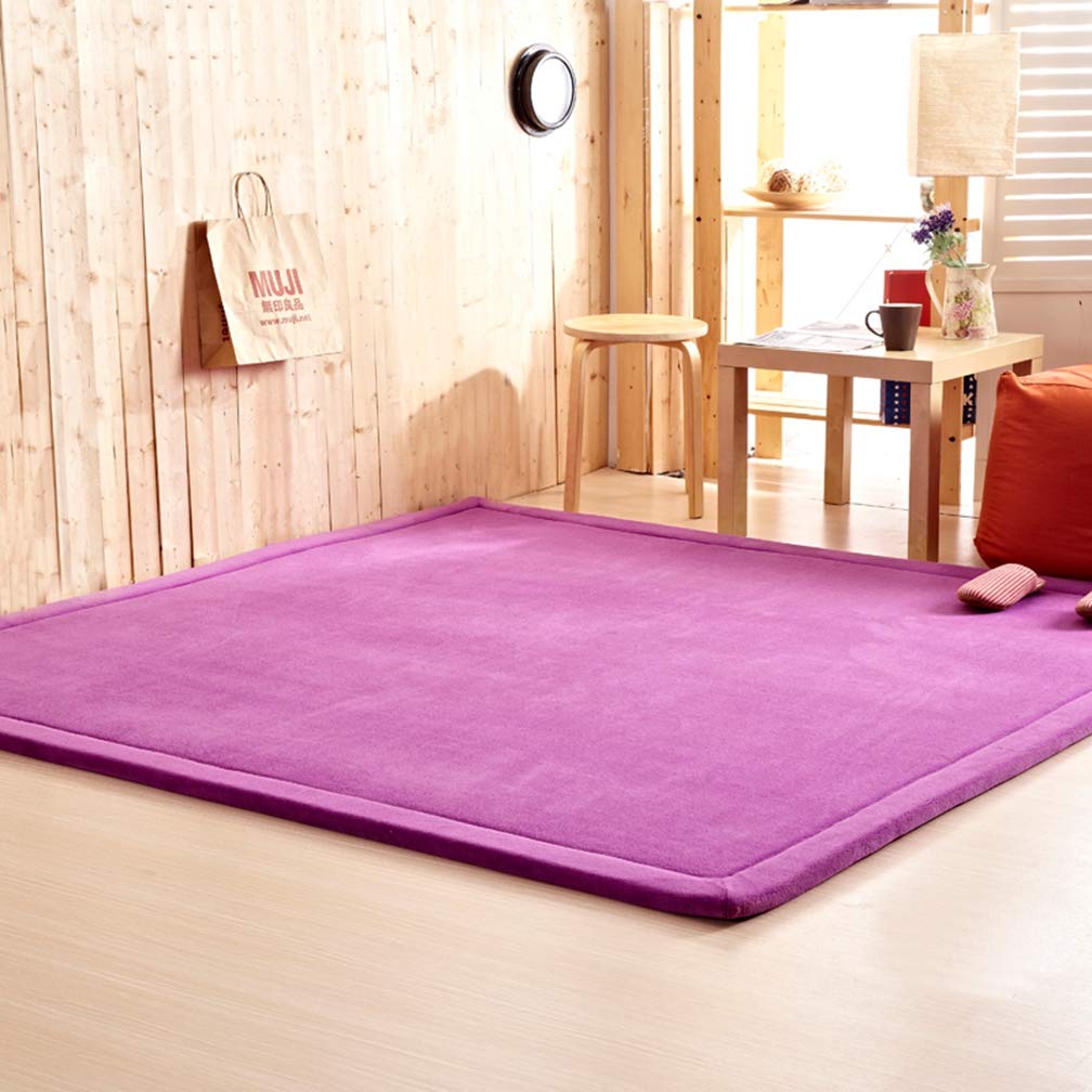 Soft Coral Fleece Non-Slip Area Rug 4'x9' - Modern Rectangular Living Room & Bedroom Carpet for Kids Nursery, Indoor/Outdoor Use - Violet Home Decor for Cozy Spaces, Playrooms & High-Traffic Areas