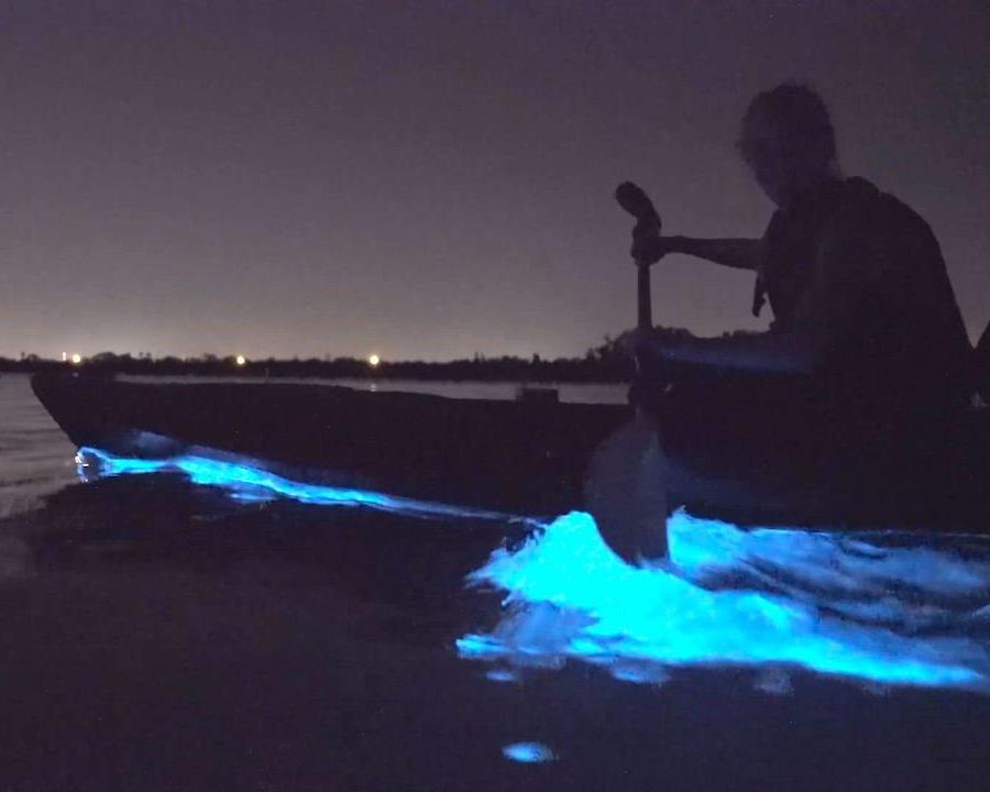 Bioluminescent Kayak Tour - Glow in the Dark Paddling Adventure | Night Kayaking in Florida for Couples & Families