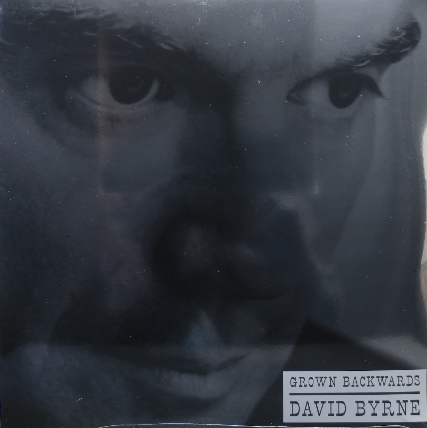 DAVID BYRNE 'Grown Backwards' Vinyl 2LP (2004 Art Rock Album) - Perfect for Music Collectors & Vinyl Enthusiasts