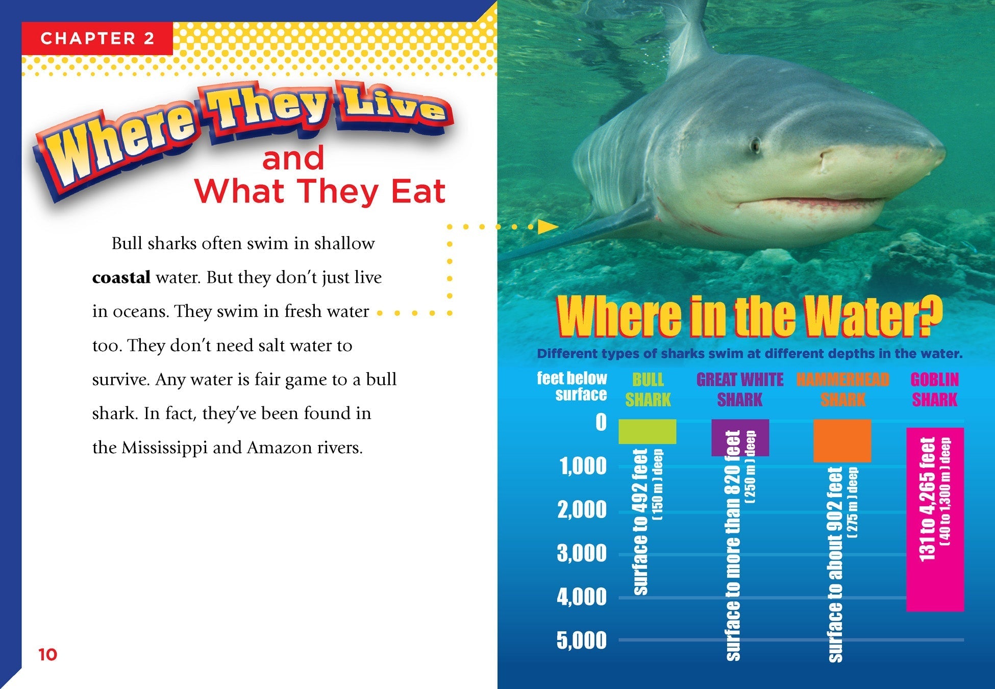 Bull Sharks Book - ISBN 9781680728613 - Perfect for Marine Biology Enthusiasts & Shark Lovers
