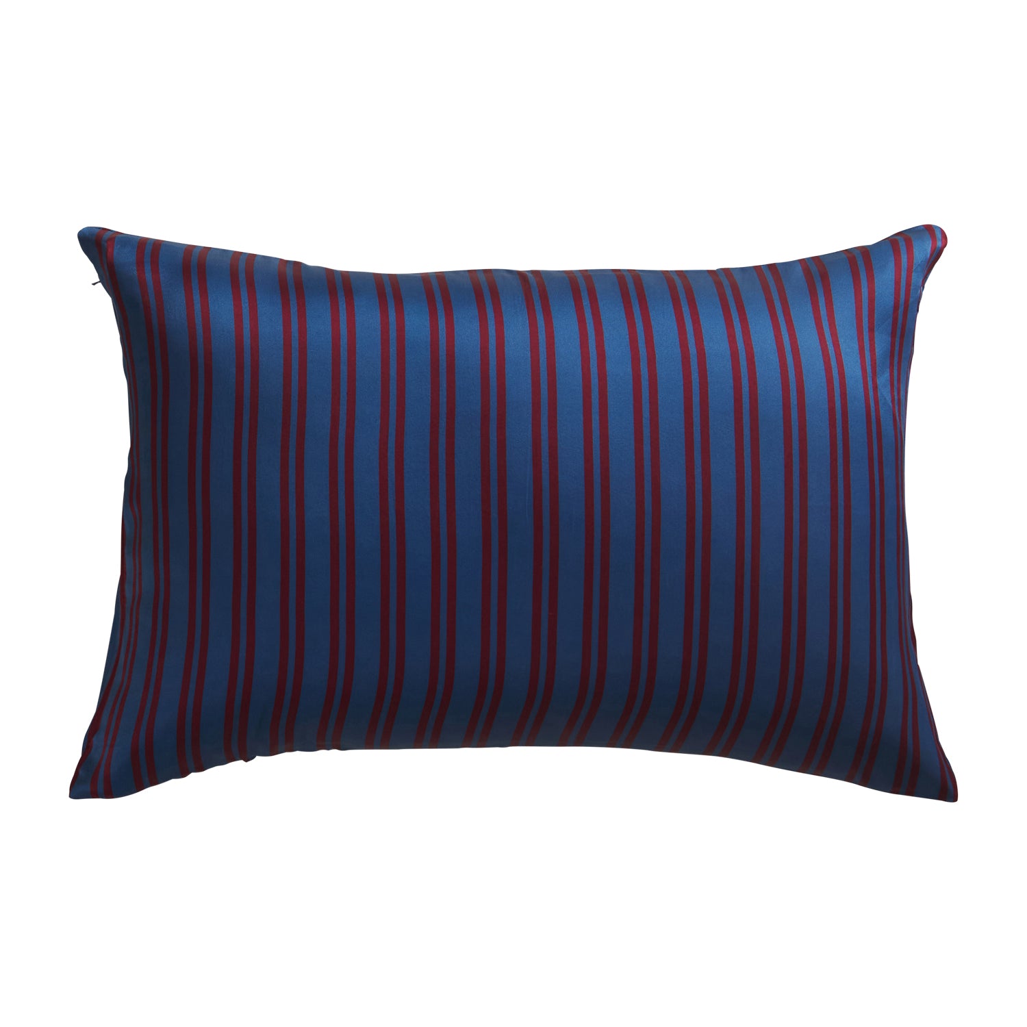 Taylor Silk Pillowcase - 100% Pure Mulberry Silk, Hypoallergenic & Cooling for Hair & Skin - Queen Size (20x30 Inches) - Perfect for Hot Sleepers, Hair Care & Luxury Bedding
