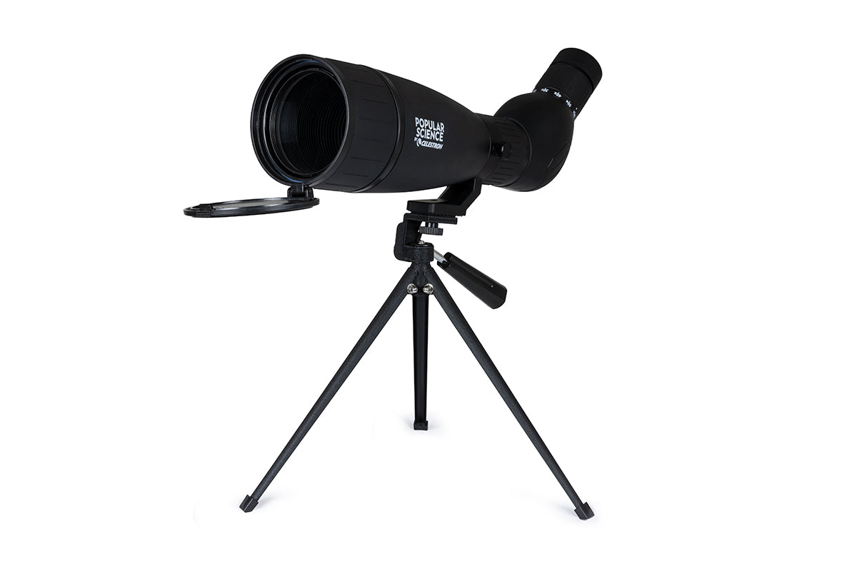 Celestron LandScout 20-60x80mm Angled Zoom Spotting Scope with Smartphone Adapter & Bluetooth Remote - High-Powered Telescope for Bird Watching, Hunting, and Outdoor Observation - Perfect for Wildlife Enthusiasts and Nature Explorers