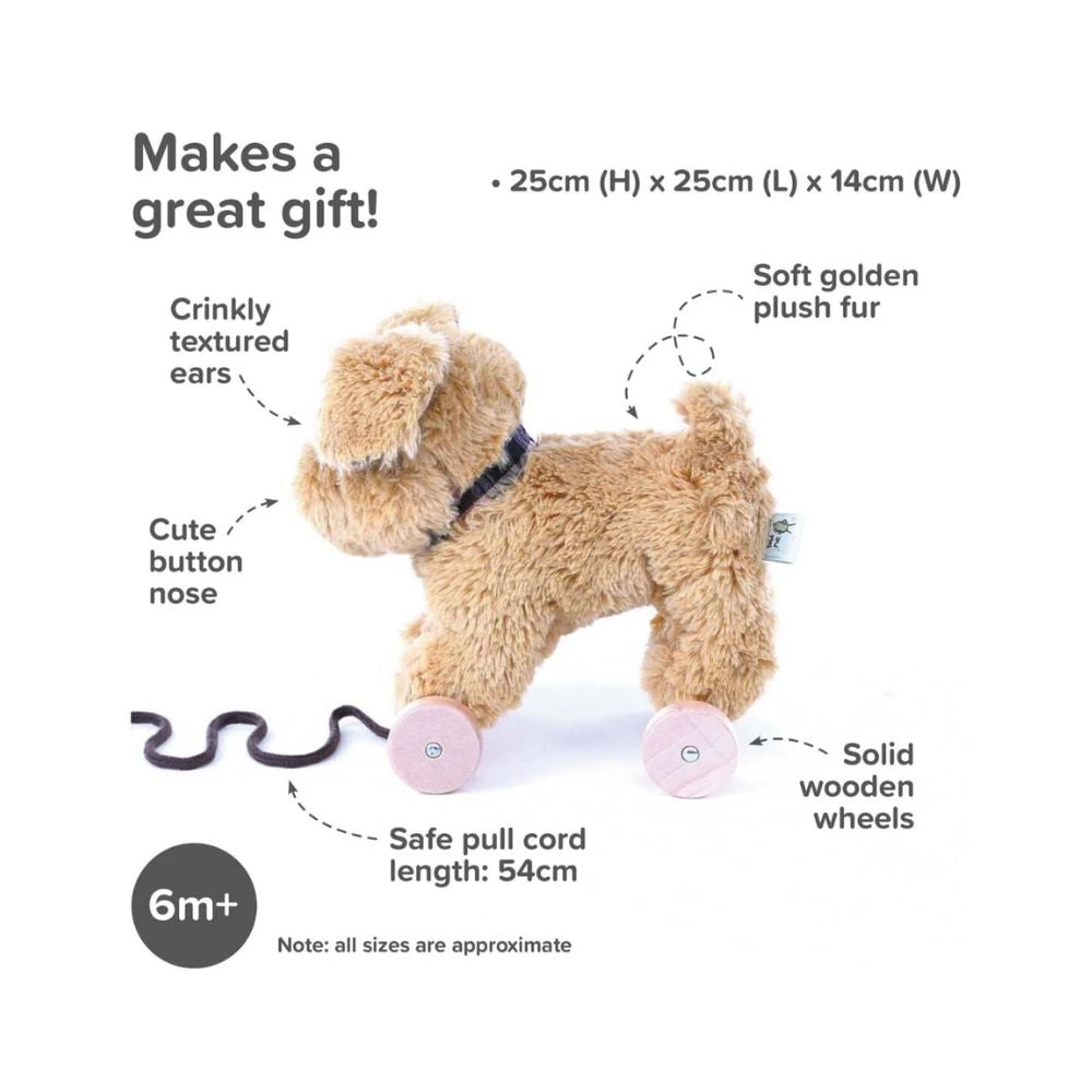 Dexter Dog Pull Along Toy - Interactive Pet Toy for Dogs, Fun Pulling & Chewing Play - Perfect for Indoor & Outdoor Playtime