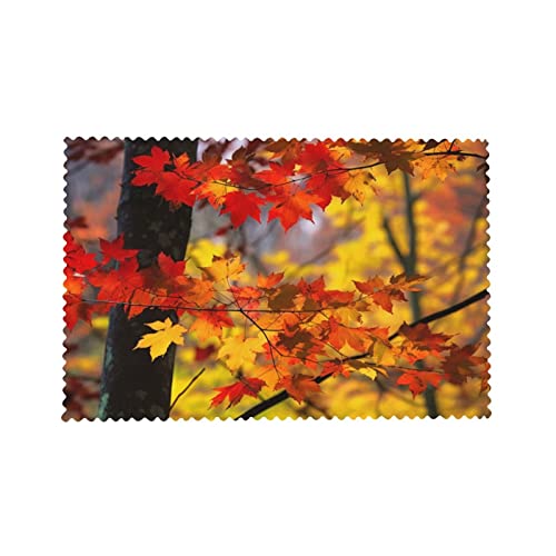 Autumn Maple Leaves Fall Leaf