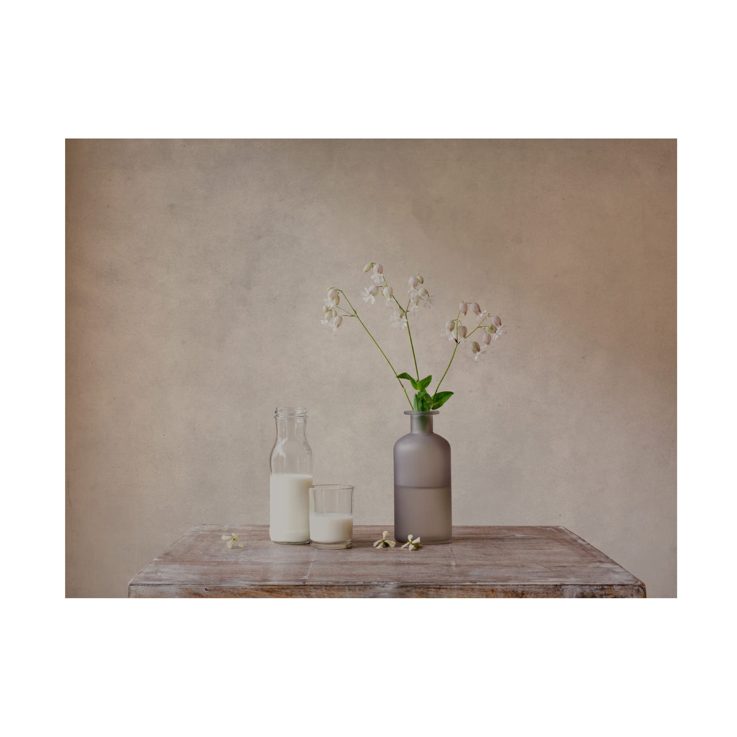 Trademark Fine Art 'Still Life With Milk' Canvas Wall Art Print by Galina Bunkova - Perfect for Living Room, Bedroom & Office Decor