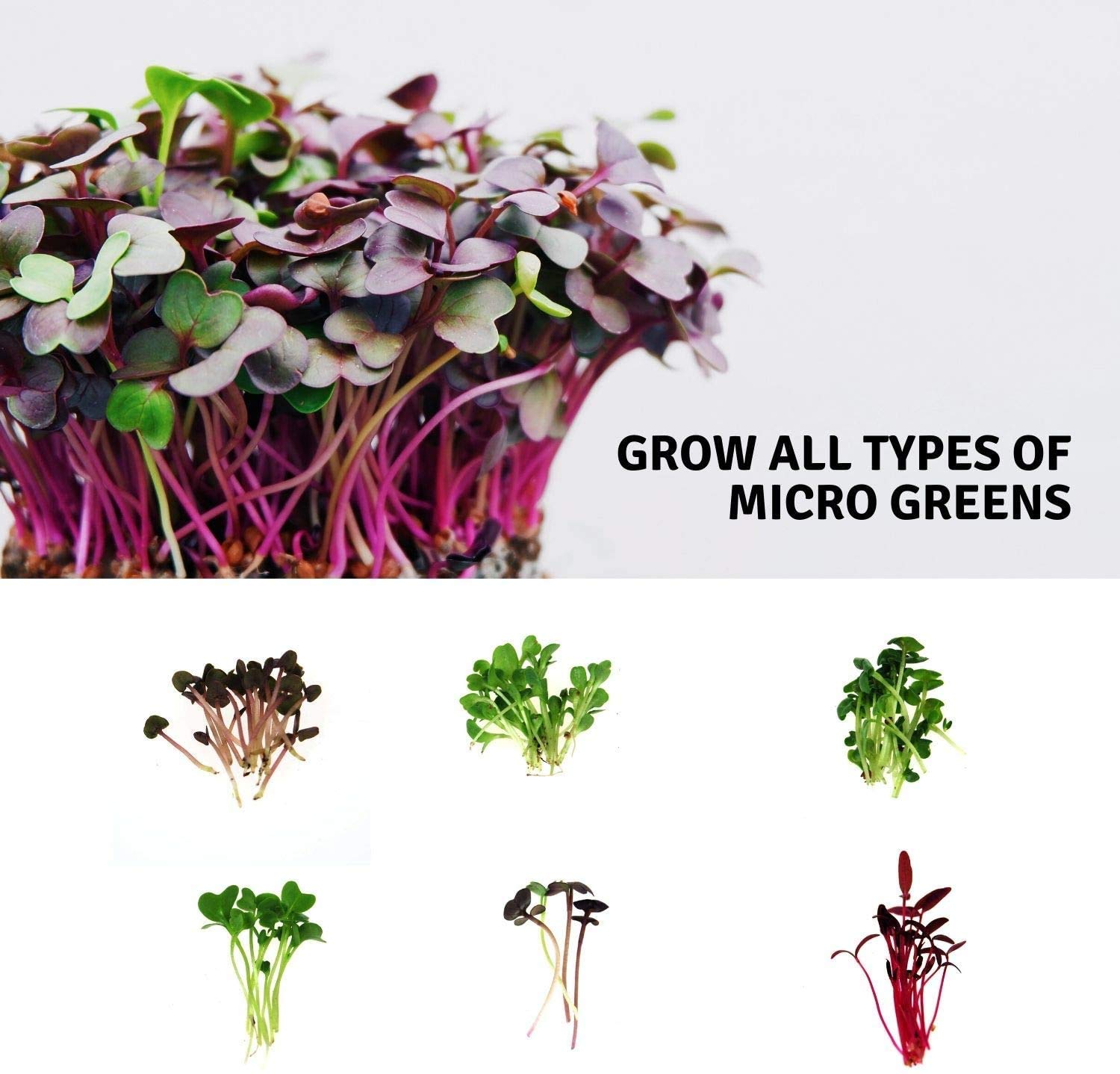 Organic Hydroponic Grow Pads for Wheatgrass & Microgreens - Handy Pantry Micro-Mat Minis 4