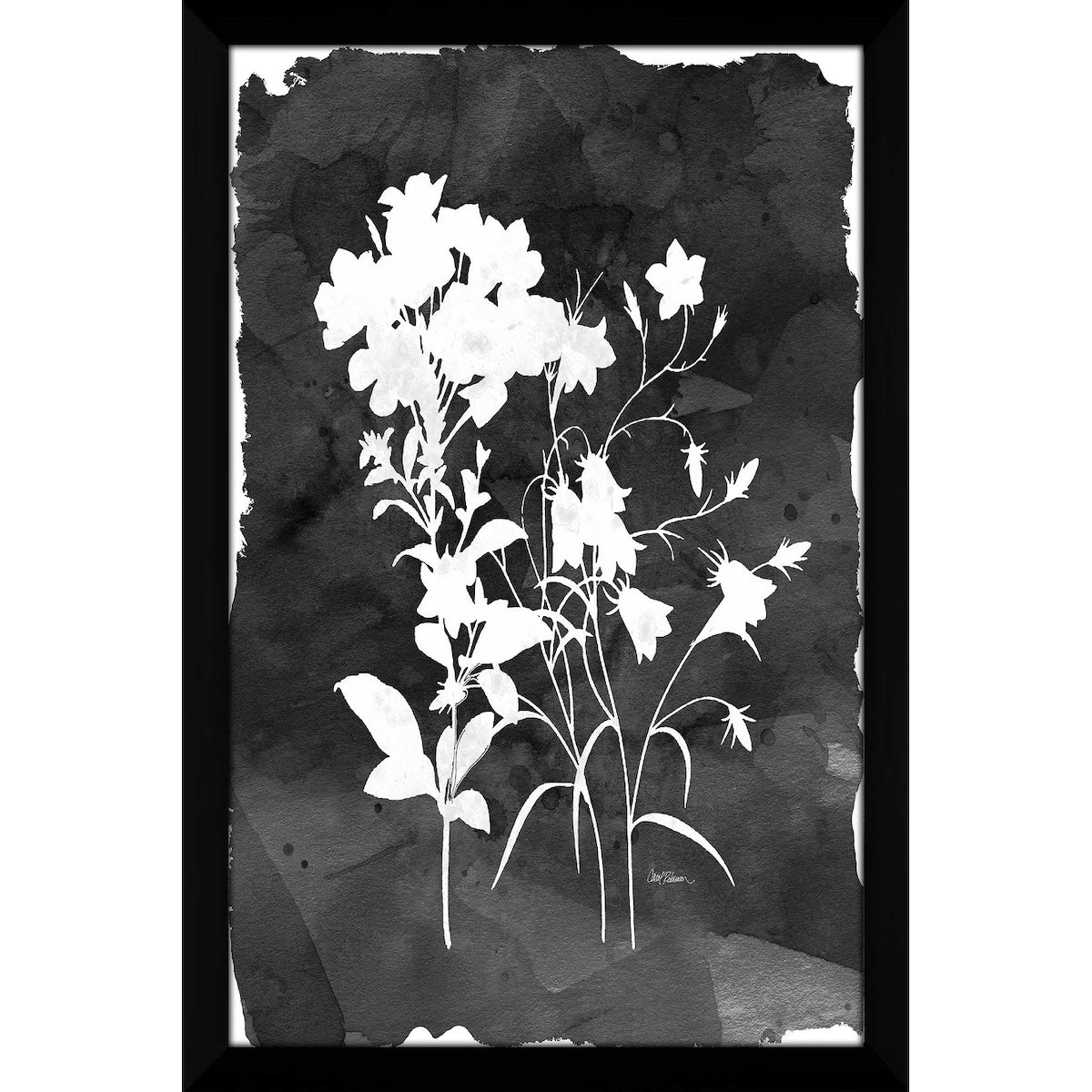 Black Botanical II by Carol Robinson - Premium Acrylic Wall Art Print - Modern Home Decor for Living Room, Bedroom & Office