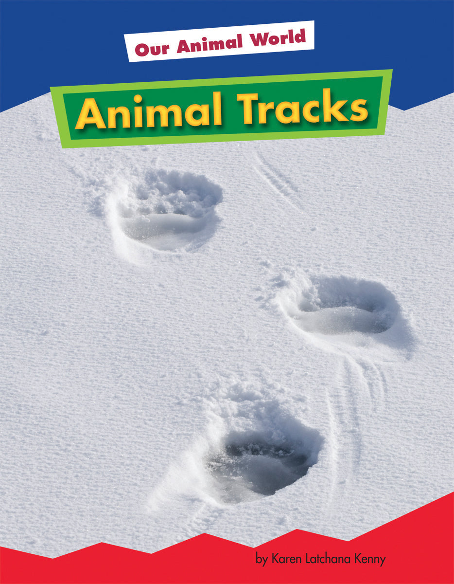 Animal Tracks - Best Animal Footprint Identification Guide for Outdoor Enthusiasts | Perfect for Hiking, Camping & Wildlife Observation
