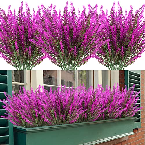 Lavender-fushia