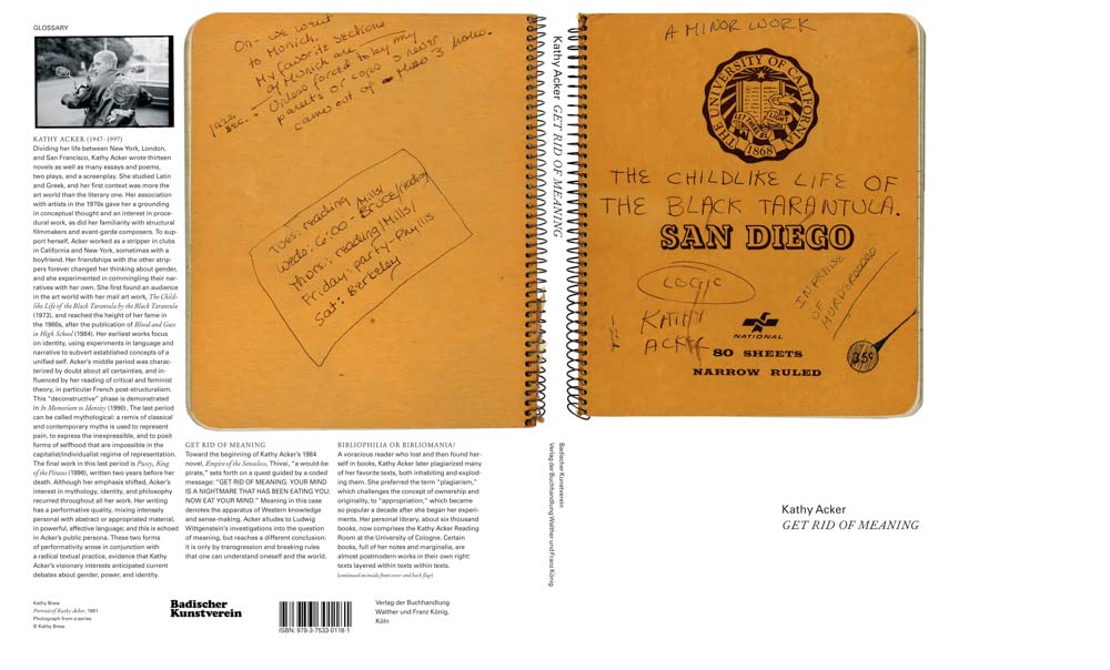 Kathy Acker Book - Get Rid of Meaning for Literary Studies