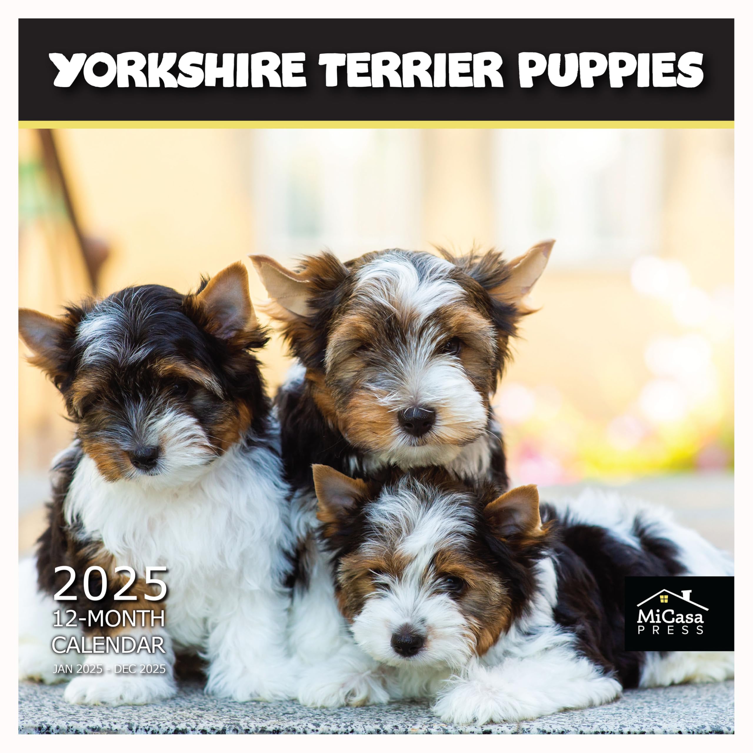MICASA PRESS - 2025 Yorkshire Terrier Puppies Wall Calendar | 12