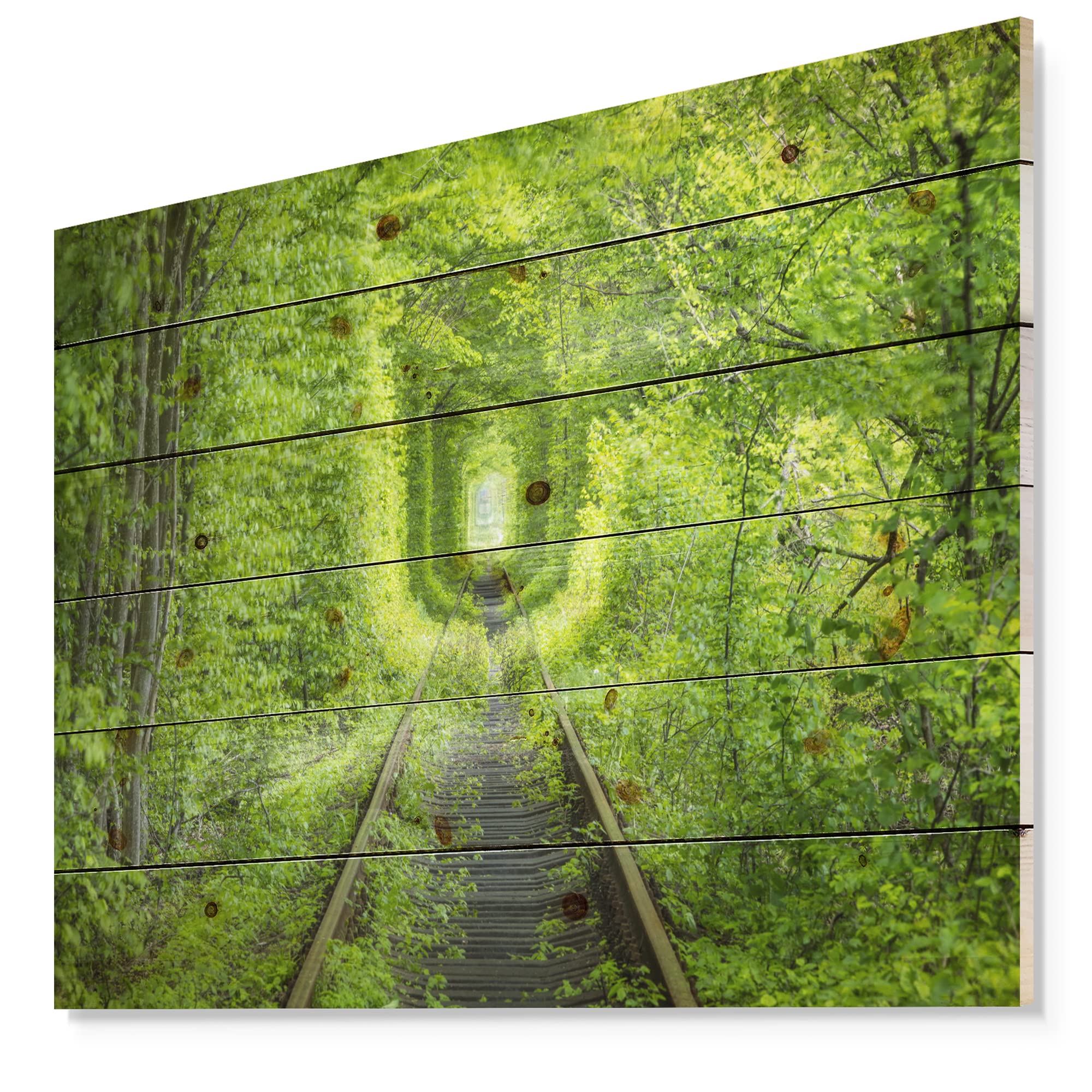 Forest Railway Tunnel Wood Wall Art - Large Landscape Decor for Home & Office