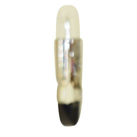 10 Pack Technical Precision 552450K Replacement Batteries & Light Bulbs - Perfect for Home, Office, and Emergency Kits