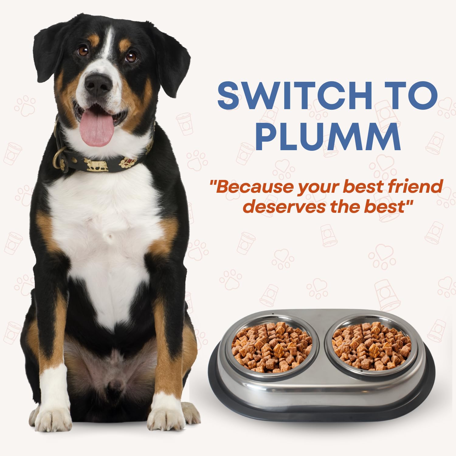 Premium Stainless Steel Dog Bowls for Food & Water - Detachable, Non-Slip Rubber Base, Easy to Clean Double Dish Feeder for Large Dogs | Perfect for Home, Travel & Outdoor Use