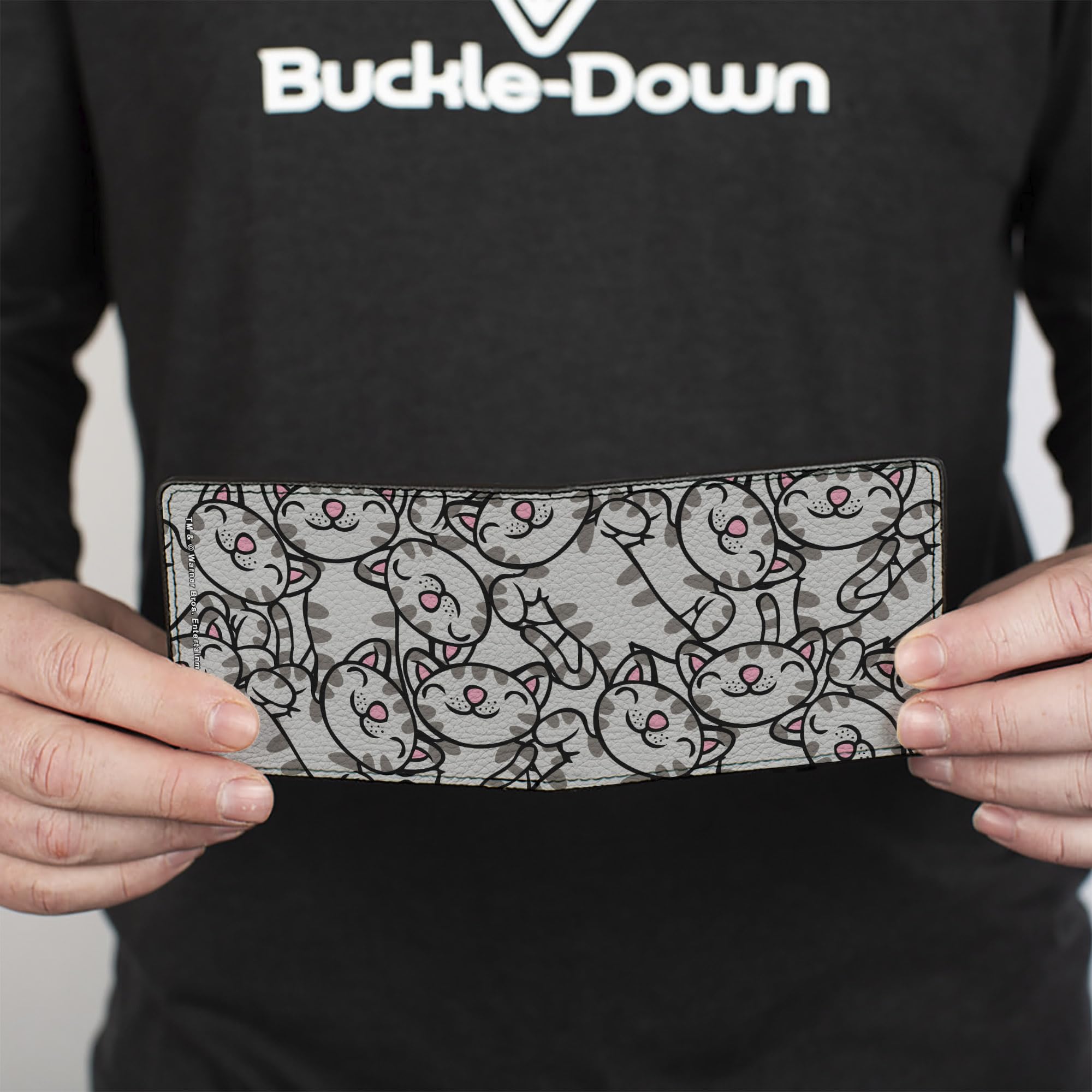 Buckle-Down Bifold Wallet - The Big Bang Theory Inspired Leather Wallet for Men - Perfect for Everyday Carry, Gift Giving & TV Show Fans
