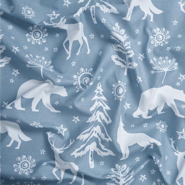 Light Blue Winter