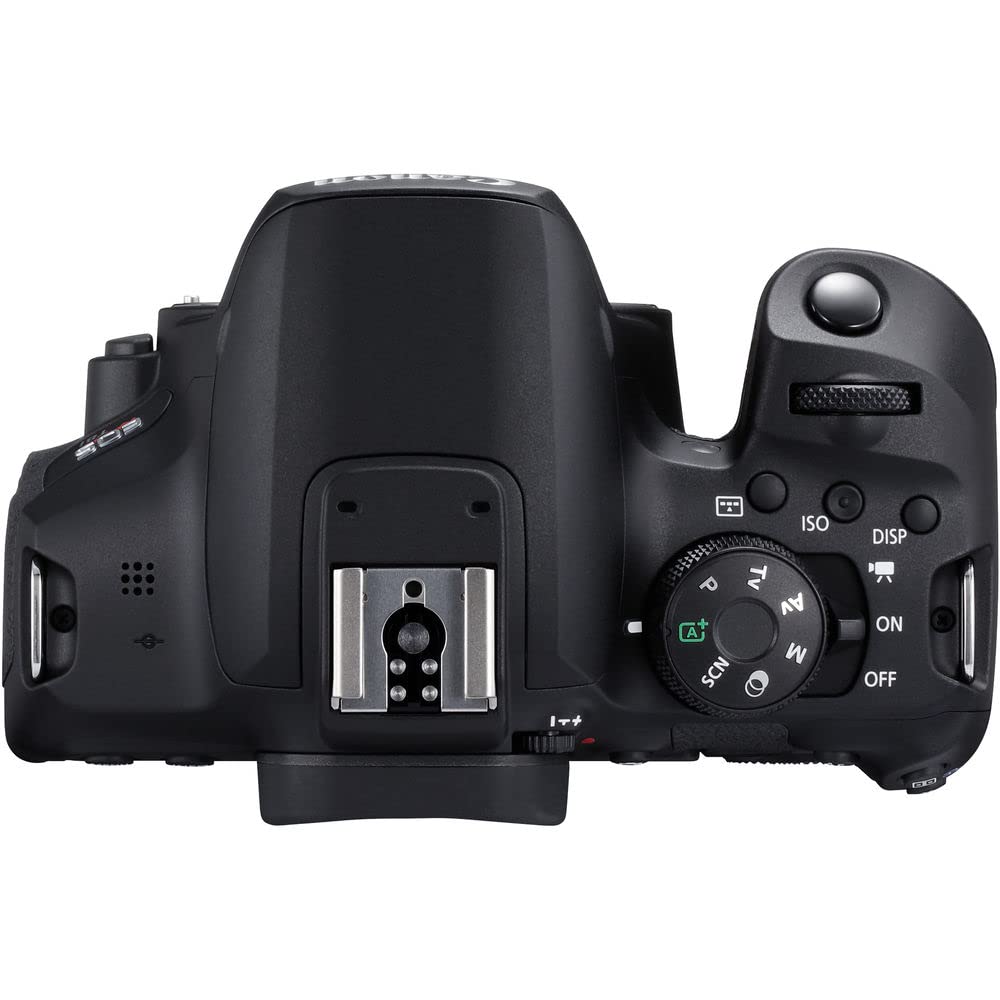 Canon EOS Rebel T8i DSLR Camera Bundle with 18-55mm Lens, 4K Monitor, Pro Audio Gear & 64GB Memory Cards - Perfect for Vlogging, Photography & Content Creation (Renewed)