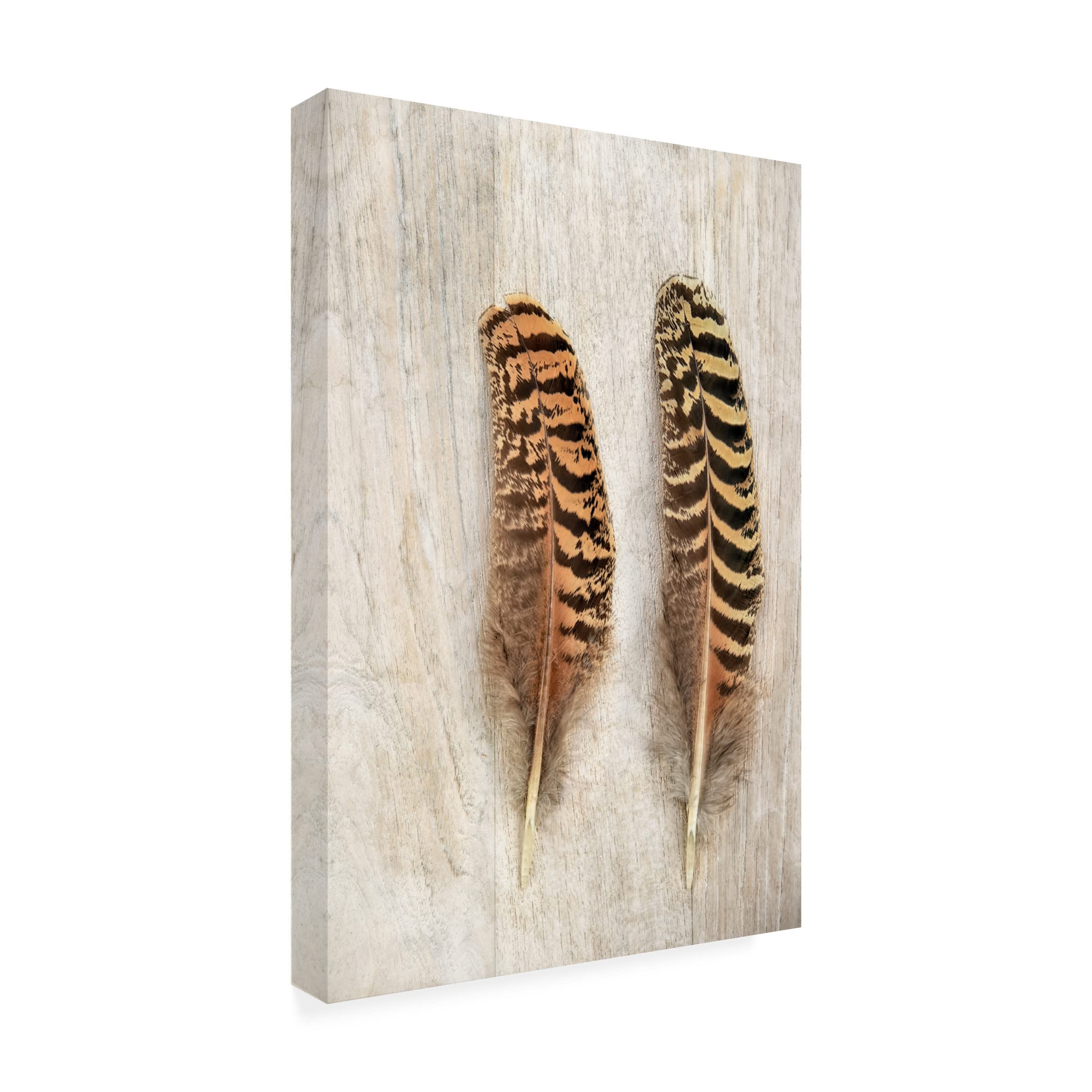 Trademark Fine Art 'Pheasant Feathers' Canvas Wall Art by Cora Niele - Hand-Painted Nature Home Decor for Living Room, Bedroom & Office