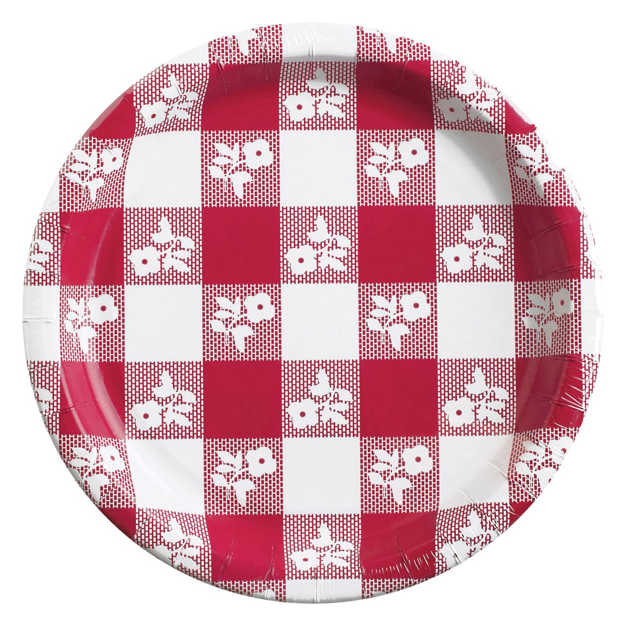 25-Count Plastic Coated Paper Plates - Red Gingham Design, Disposable Party Plates for Picnics, BBQs, and Outdoor Events