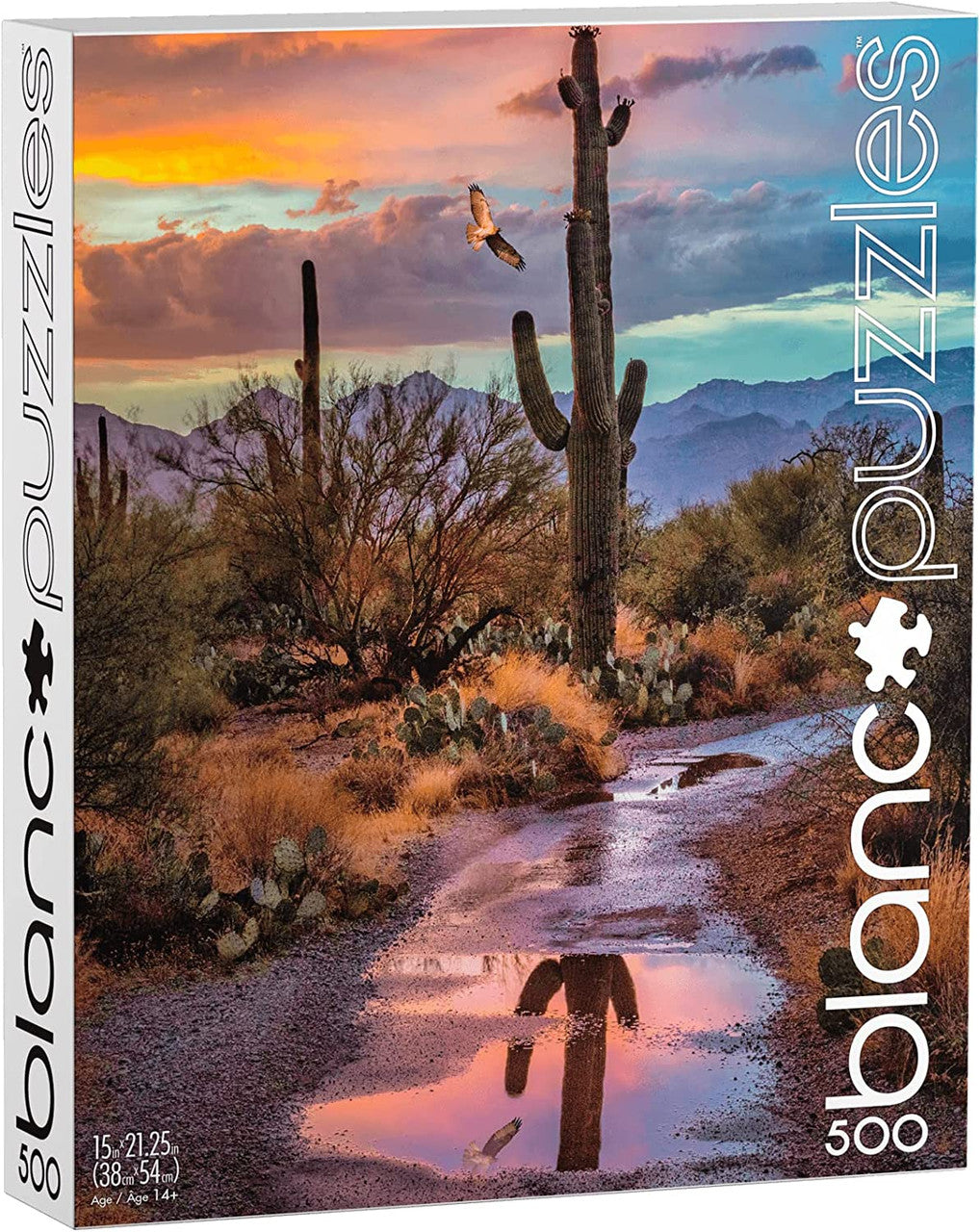 Arizona Cactus Reflection Wall Art - Desert Landscape Painting for Home & Office Decor | Perfect for Living Room, Bedroom, or Southwestern Style Interior Design