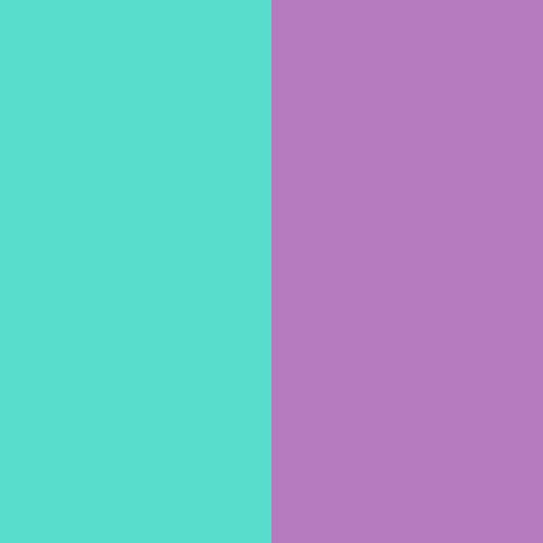 Aqua/Purple