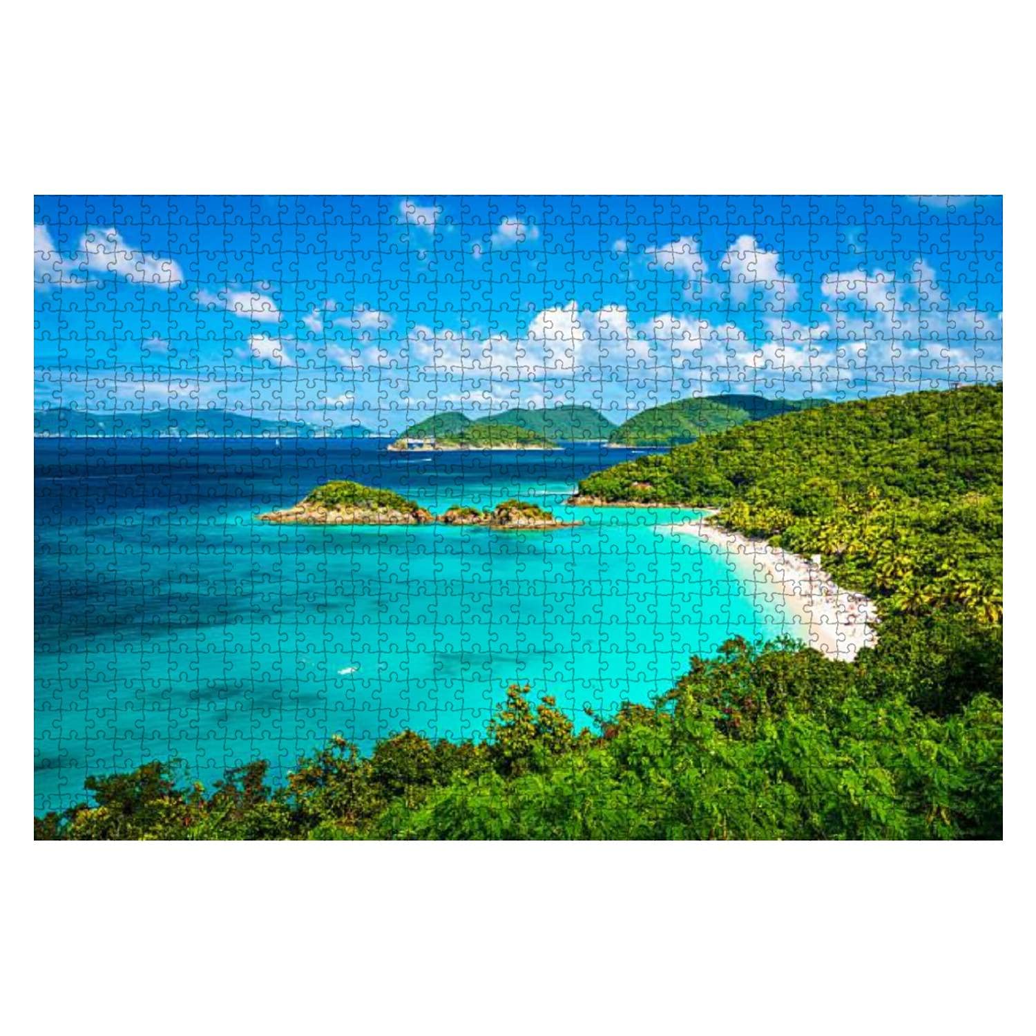 1000-Piece Wooden Jigsaw Puzzle - Stunning Panoramic View of Trunk Bay Beach in St. John | Educational & Stress-Relief Toy for Kids & Adults | Perfect for Family Game Night, Classroom Activities, and Relaxation Therapy