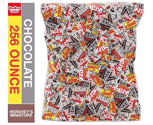HERSHEY'S Miniatures Chocolate Candy Assortment - HERSHEY'S, SPECIAL DARK, KRACKEL & MR. GOODBAR (16 lbs) - Perfect for Halloween, Christmas Gift Baskets, Party Favors & Office Snacks