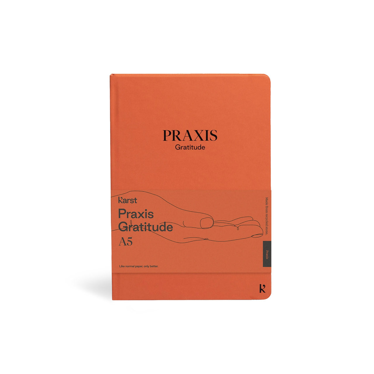 Karst Praxis Journal - Premium Notebook for Geologists & Cave Explorers - Perfect for Field Notes, Research & Outdoor Adventures