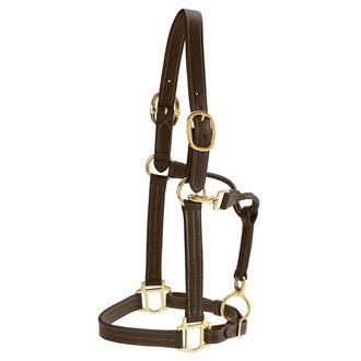 Dover Saddlery Palermo Horse Halter - Soft Nylon Adjustable Headcollar with Padded Noseband for Comfort, Chocolate Brown - Perfect for Trail Riding, Training & Everyday Use