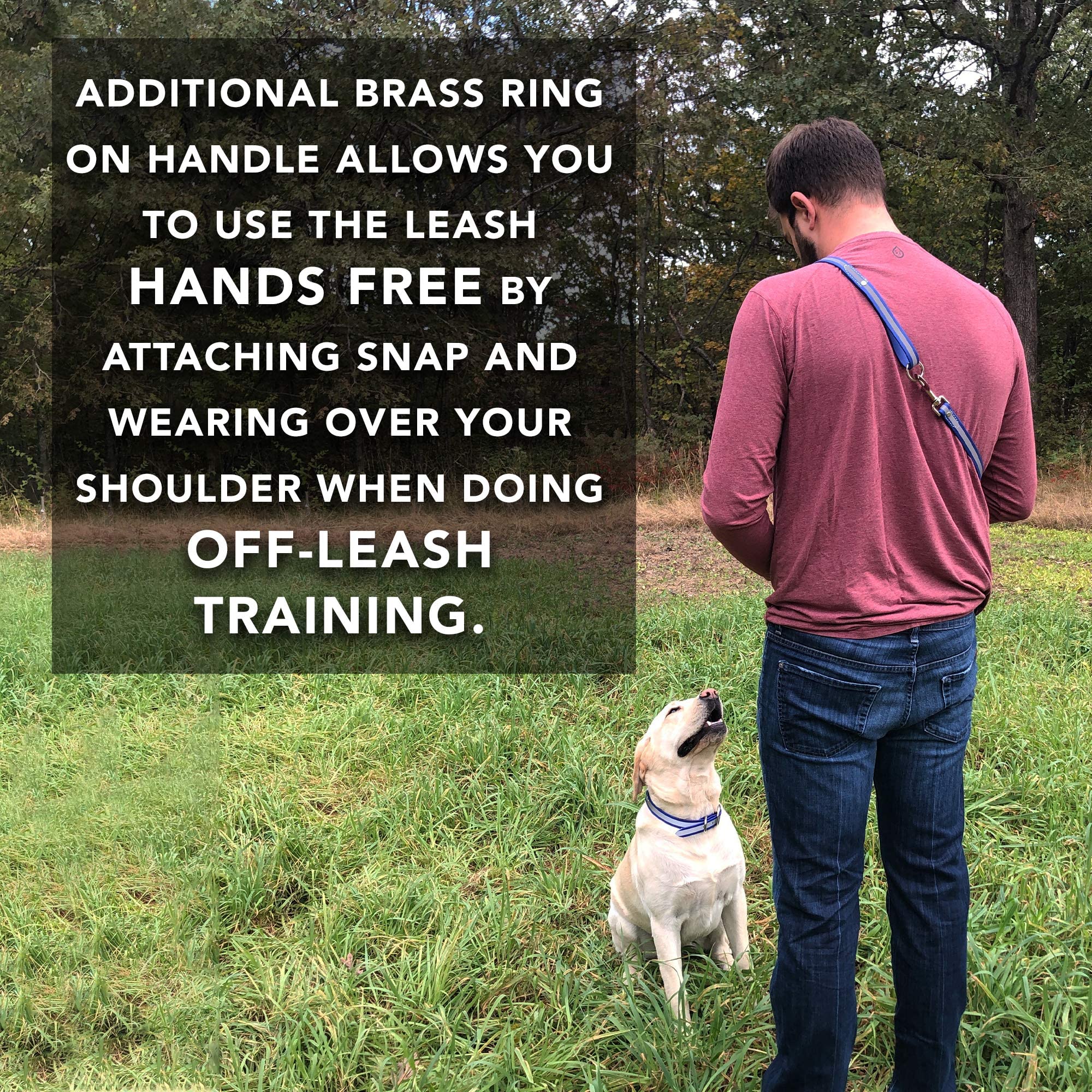 Regal Dog Products Large Blue Reflective Dog Collar and Leash Set - Waterproof Biothane Dog Collar with Heavy Duty Double Buckle, D Ring & 5ft Leash - Perfect for Medium & Large Dogs - Ideal for Night Walks, Hiking, and Outdoor Adventures